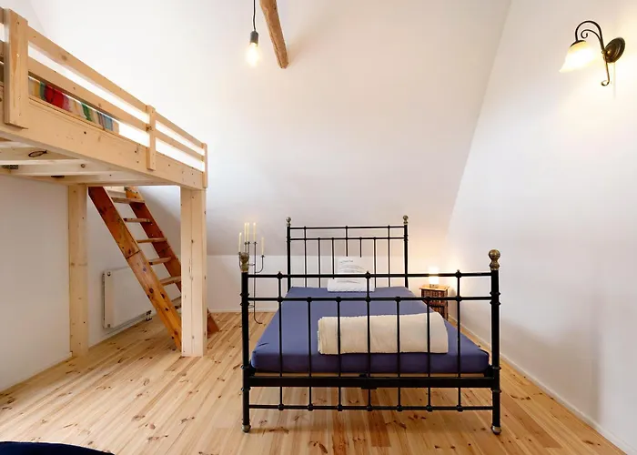 Suzanne Mercimersea *